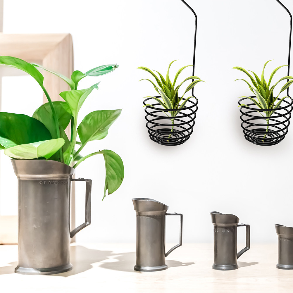 3 Ganchos Metálicos Resistente - Air Plant Tillandsia reseña y precio