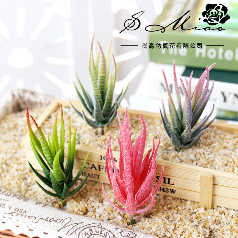 Wusmart Ban Ma Lu Hui, Plantas - Succulent Arrangement Mini reseña y precio