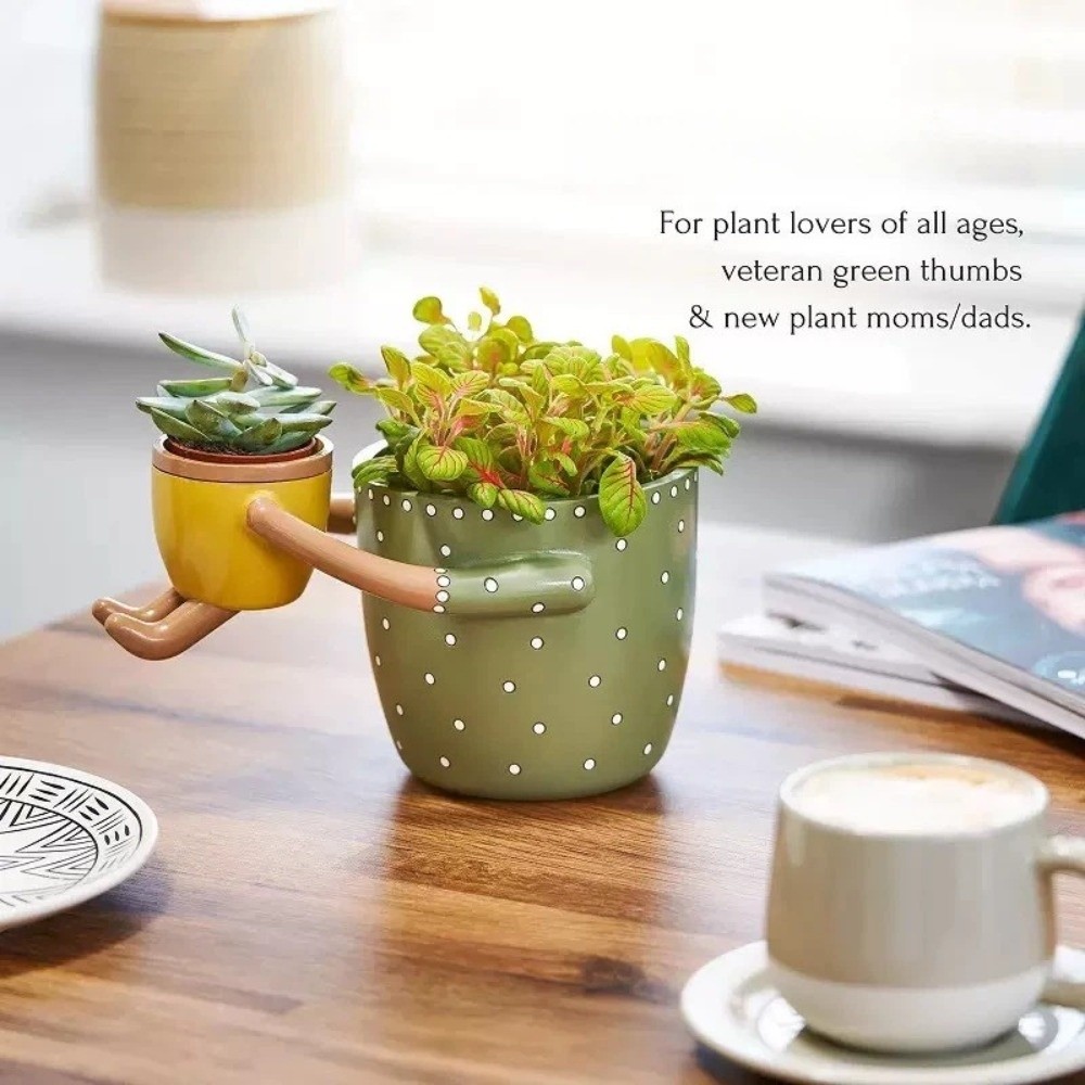Maceta de Resina con Diseño de - The Plant Parent reseña y precio