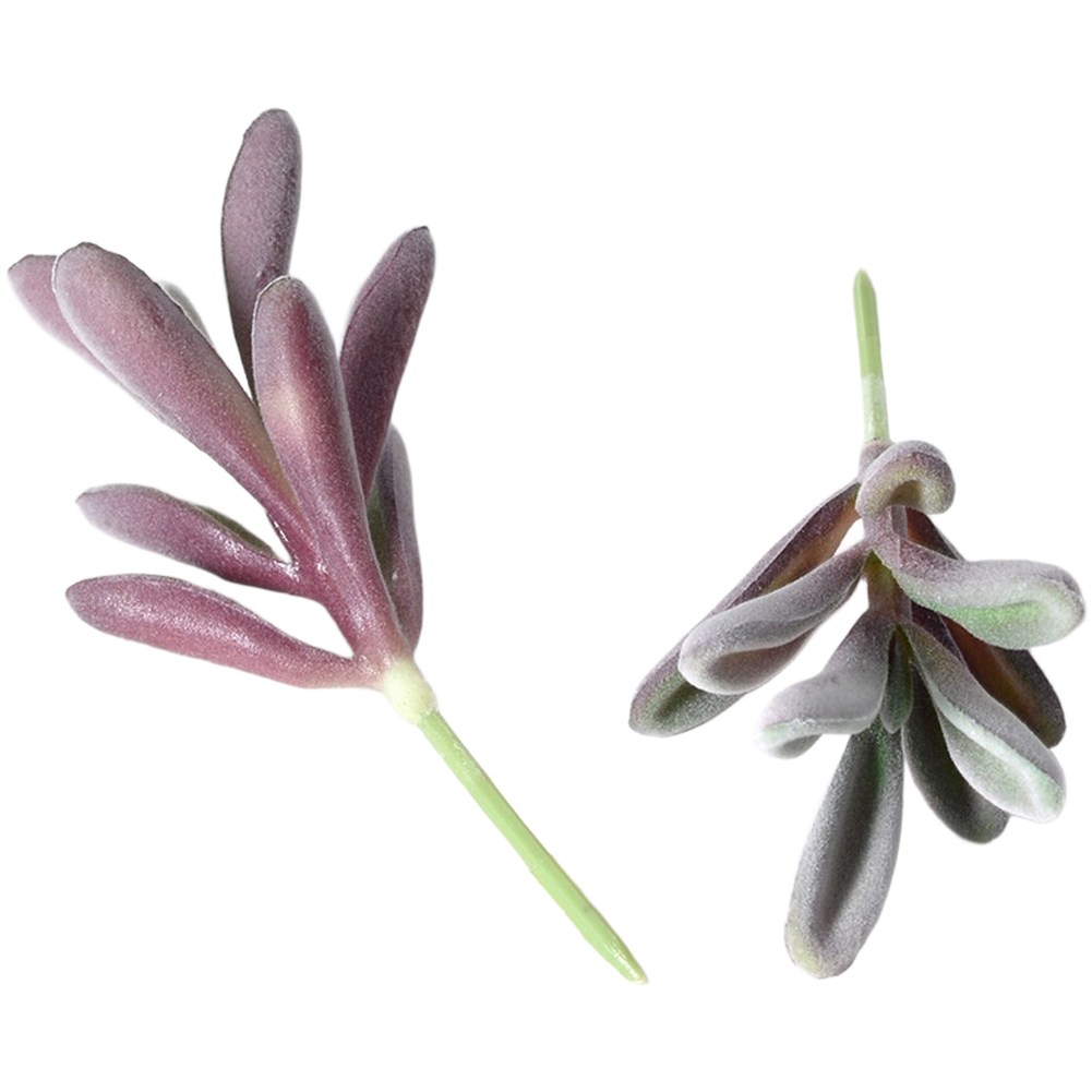 Suculentas Artificiales de PVC - Succulent Arrangement Mini reseña y precio