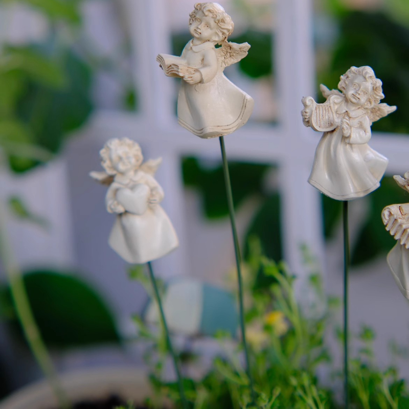 Arreglista de flores de Ángel  - Succulent Arrangement Mini reseña y precio